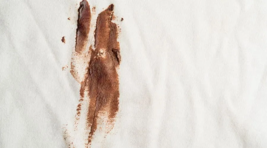 macchia di cioccolato secca